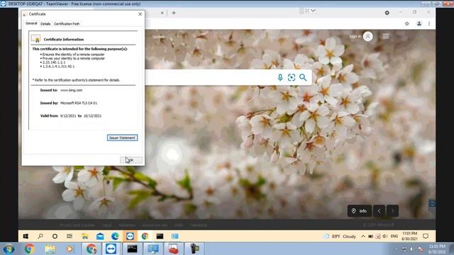 Error your connection is not private when accessing Website bing.com on Windows 10 ver 20H2 смотреть онлайн