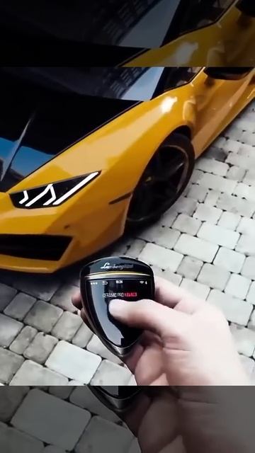 Colour changing LAMBORGHINI with all colours with remote смотреть онлайн