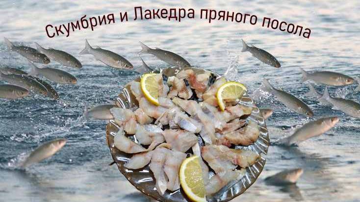 Лакедра и Скумбрия пряного посола