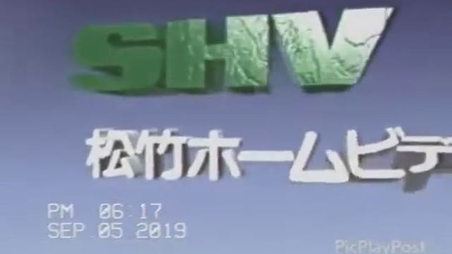 SHV 2001 Company Logo VHS Capture смотреть онлайн