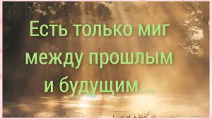 Экспромт.Без монтажа как есть.Живите здесь и сейчас.