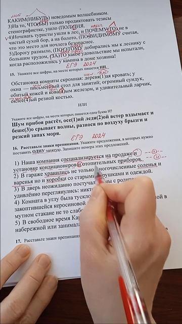 ЕГЭ русский  16_2