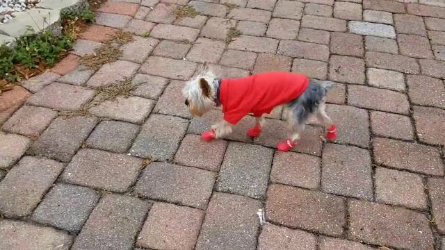 Max wearing his rain boots смотреть онлайн