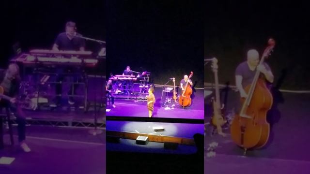 Zaz in Los Angeles October 12, 2019 смотреть онлайн