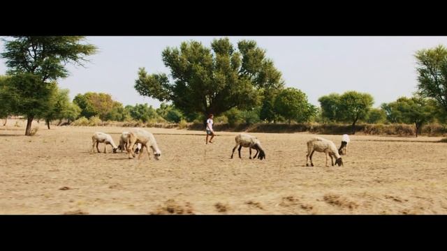 INDIA | 4K смотреть онлайн