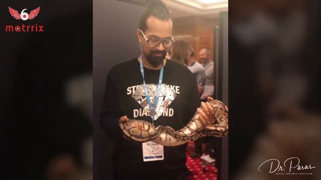 Journey of Trainer Certification in NLP from Dr Richard Bandler смотреть онлайн