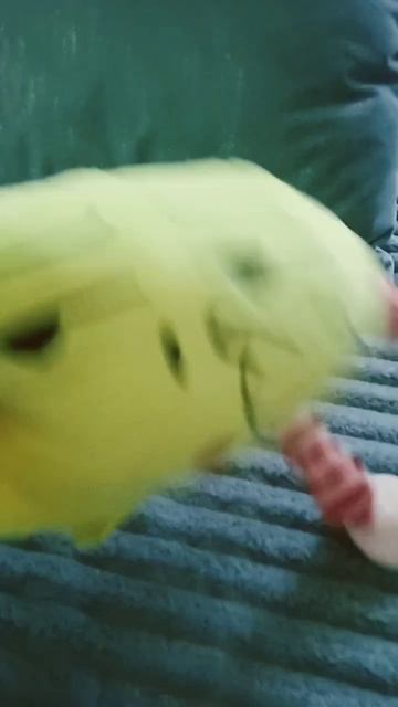 когдато в самолёте 🤣🤣 смотреть онлайн