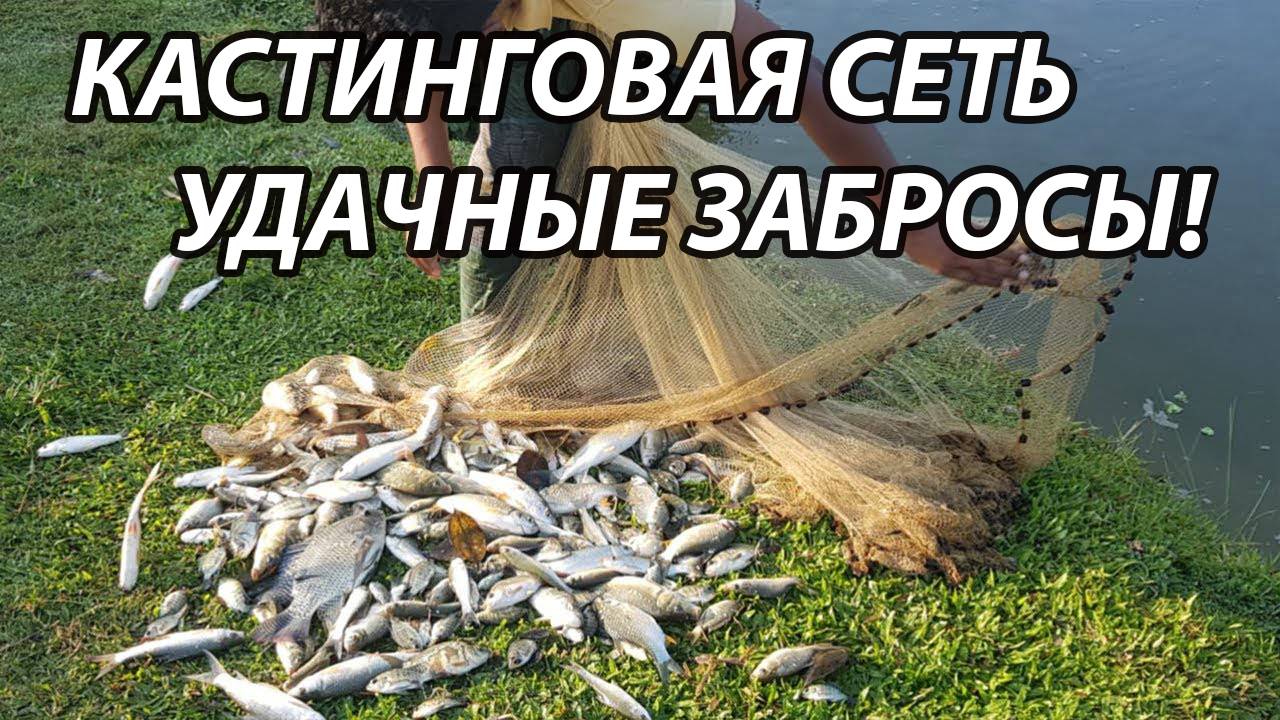Рыбалка Кастинговой Сетью! Лучшие забросы! ВОТ ЭТО УЛОВ! смотреть онлайн
