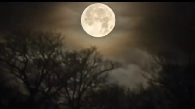 DOGMAN IN THE L.B.L EXPERIENCES & PHOTOS & TERRIFYING VIRGINIA DOGMAN ENCOUNTERS смотреть онлайн