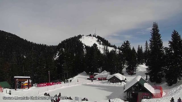 Grouse Mountain Chalet 20240315