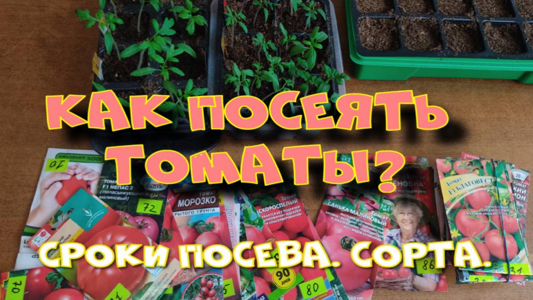 ПОСЕВ ТОМАТОВ НА РАССАДУ. ОБЗОР СОРТОВ. СРОКИ ПОСЕВА. смотреть онлайн