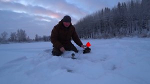 Рыбалка на щучьем озере. Жерлицы срабатывают одна за одной. Поймали одну щуку на 2 жерлицы. Жор щуки