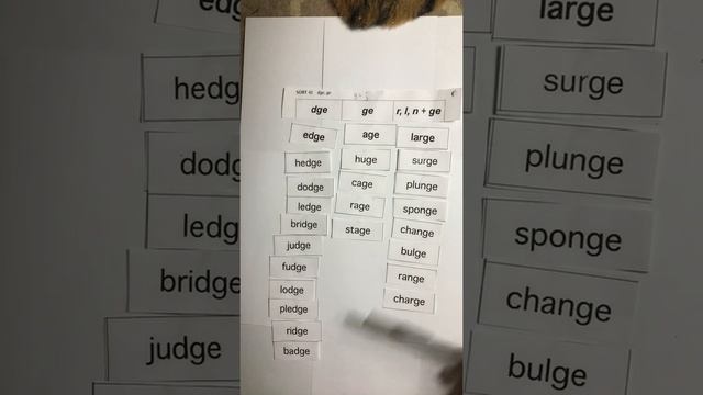 WW sort 41 dge, ge смотреть онлайн