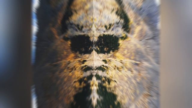 Фотовыставка "Первозданная Россия", часть 5 смотреть онлайн