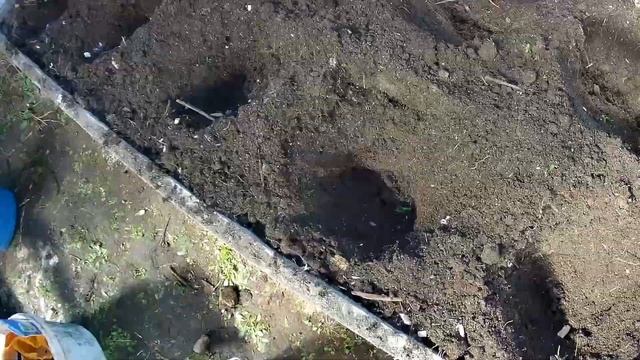 Посадка томатов в теплицу. 4 мая смотреть онлайн