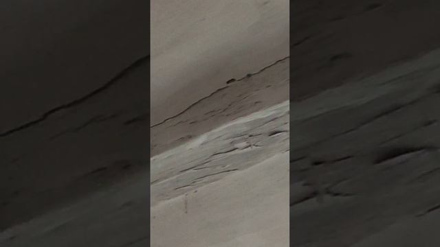 Продается дом в с.Н.Покровка,Белгородская обл. Тел. 89100309077 смотреть онлайн