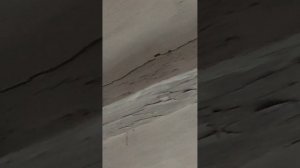 Продается дом в с.Н.Покровка,Белгородская обл. Тел. 89100309077