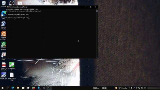 Windows 10 Activate in 2022 Digital License Activation #Windows10 смотреть онлайн