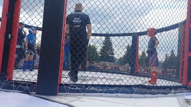 Бои без правил смотреть онлайн