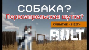 Первоапрельский ивент в BULT. Добавили собаку?