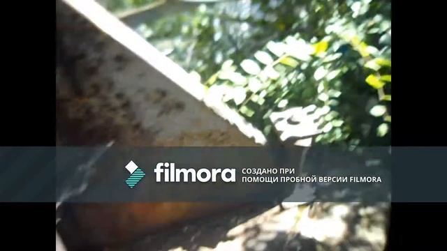 Залаз на трубу и на горожи(= смотреть онлайн