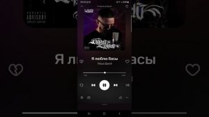 Я люблю басы