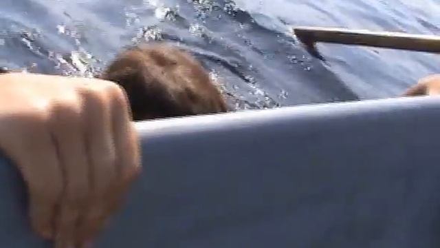 Из архива походов на Вуоксу. (2011г.) Клип "Лето" смотреть онлайн