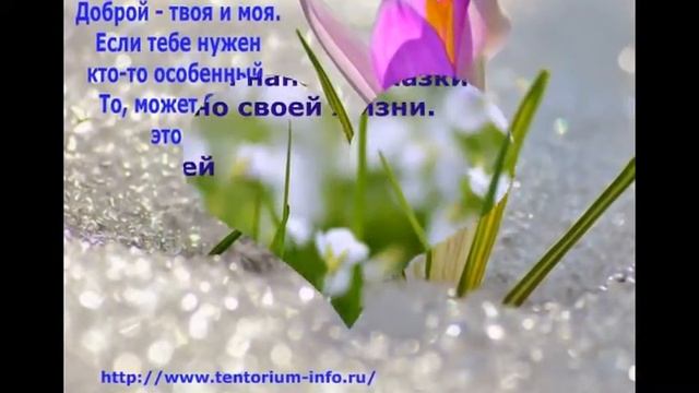Философия здоровья смотреть онлайн