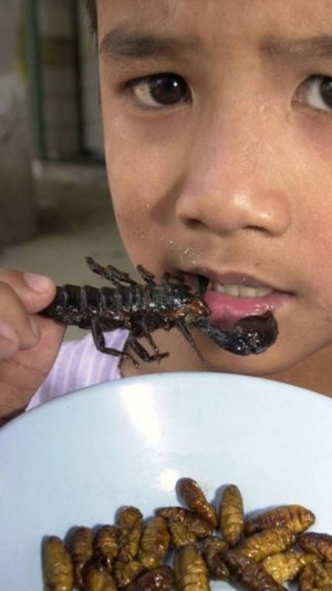 Кто пробовал? Говорят, что местные тайцы тоже едят скорпионов и личинок. Это не только для туристов