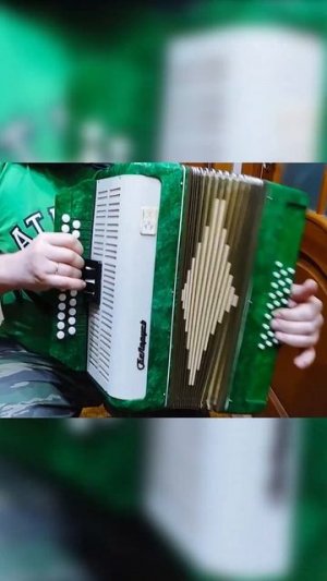 3 аккорда 300 песен Плясовая как быстро научиться играть на гармони урок от мастера тест Беларусь