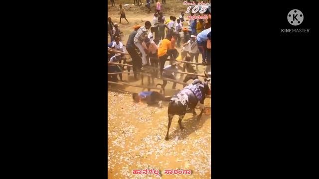 Hangal Saranga havli Hori habba in Mugalikoppa#121 #Hori habba смотреть онлайн