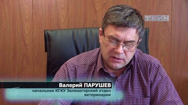 Кремация