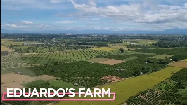 Sino Ang Mas Mayaman Small Laude o Gretchen Barretto | Small vs Gretchen смотреть онлайн