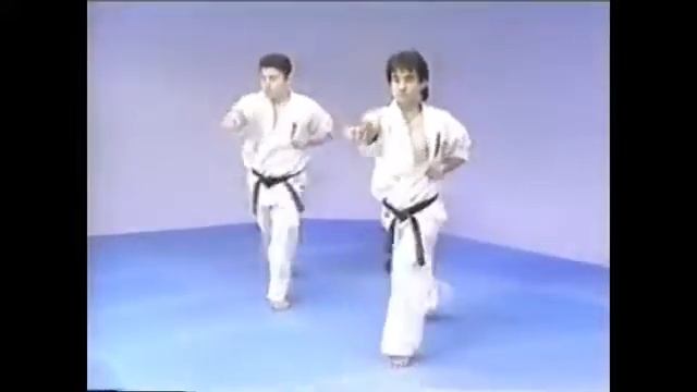 Zenkutsu Dachi + Mae Geri Yoko Geri Uraken Hizo Uchi Seiken Gyaku Tsuki смотреть онлайн