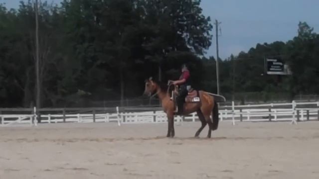 Festival of Flowers Freestyle Reining 6/9/12 смотреть онлайн