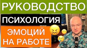 ПСИХОЛОГИЯ ЭМОЦИЙ НА РАБОТЕ: РУКОВОДСТВО