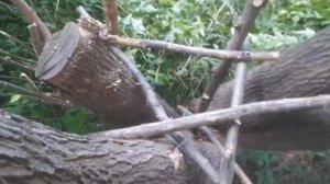 ЛУЧШИЙ ДОМИК НА ДЕРЕВЕ СВОИМИ РУКАМИ часть 4