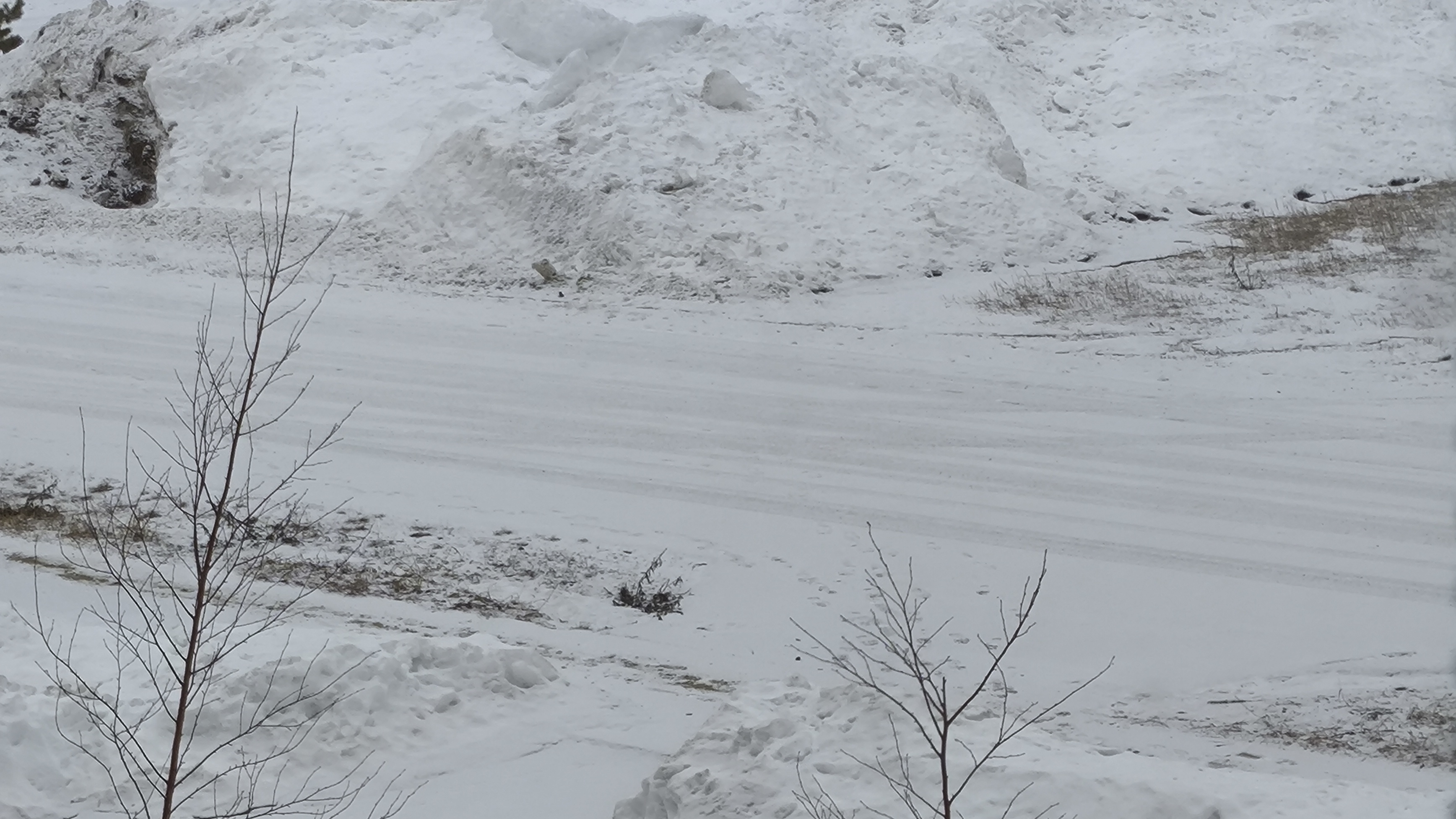 А у нас снег ❄️ выпал ночью -2 смотреть онлайн