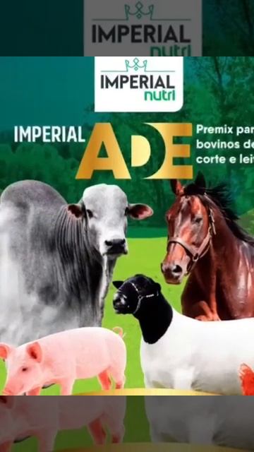VITAMINA ADE PARA BOVINOS, EQUINOS, SUINOS, OVINOS E AVES - IMPERIAL NUTRI смотреть онлайн