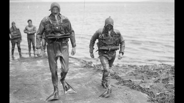Chamber Divers with Rachel Lance смотреть онлайн