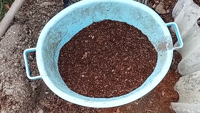 садим сидераты смотреть онлайн