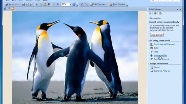 Basic Photo Editing, Microsoft Office 2010, Microsoft Office Picture Manager смотреть онлайн