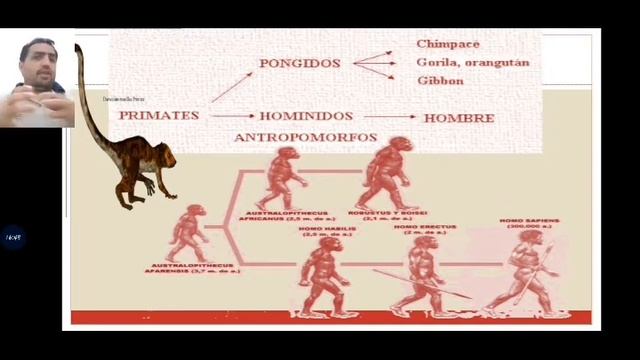 Hominización y Humanización смотреть онлайн