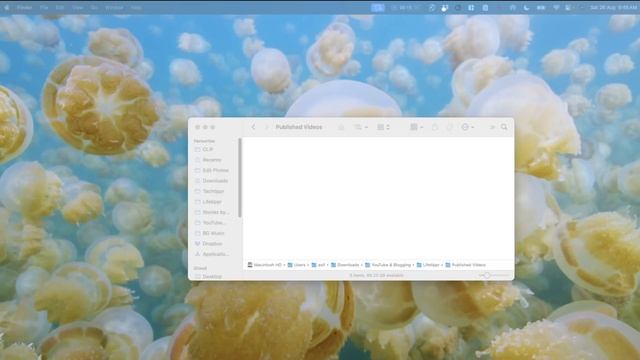 How to View Hidden Files on a Mac смотреть онлайн