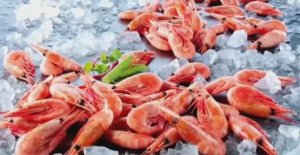 ... Как добывают и обрабатывают Креветки....