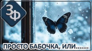 215 Бабочка в холодном ноябре ｜ Истории Наших Зрителей