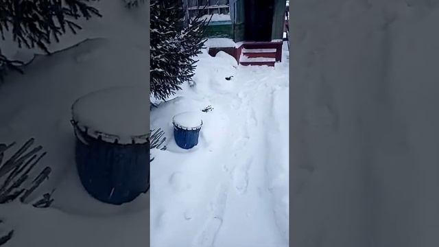 Алтай//Тёплый зимний день//А мысли где то на Югах смотреть онлайн