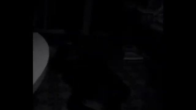 Loli Shuffle/VK Crawl смотреть онлайн