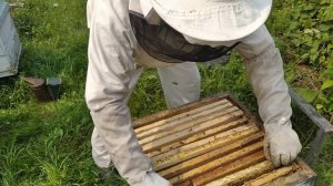 УСТАНОВКА ТРЕТЬЕГО КОРПУСА ДЛЯ СИЛЬНОЙ СЕМЬИ