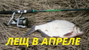 КАК ЛОВИТЬ ЛЕЩА В АПРЕЛЕ? НАЖИВКИ И ПРИКОРМКА ДЛЯ ЛОВЛИ ЛЕЩА В АПРЕЛЕ. МЕСТА ДЛЯ РЫБАЛКИ НА ЛЕЩА